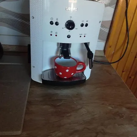 Tulipanfa Rum i privatbostad
