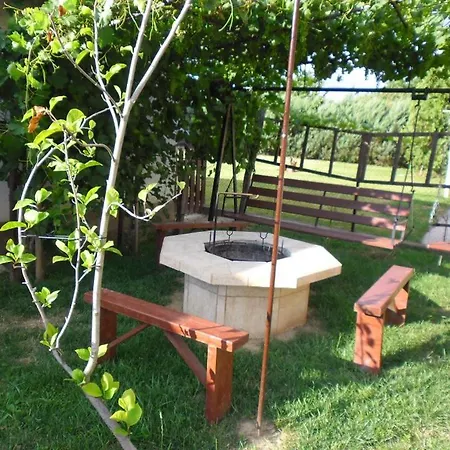 Tulipanfa * Tokaj
