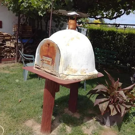 Tulipánfa Homestay szállás