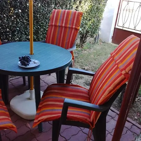 Tulipánfa Homestay szállás *